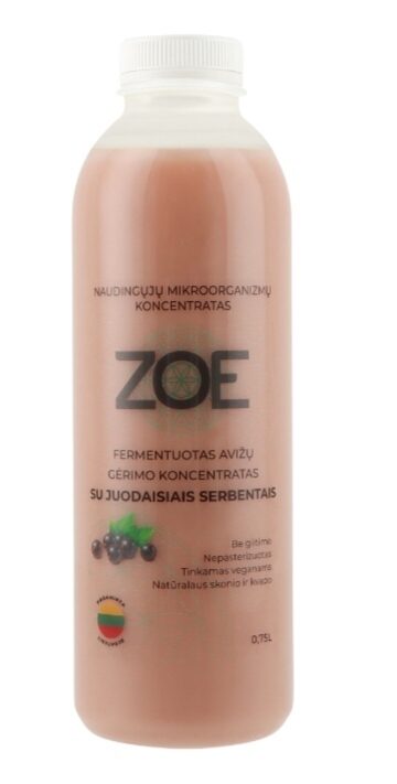 Концентрат ферментированного овсяного напитка ZOE с чёрной смородиной, 0,75 л