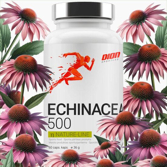 ECHINACEA 500 Экстракт эхинацеи