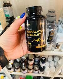 Shilajit Himalayan Shilajit ekstrakts 500mg 60 kapsulas